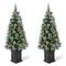 2 Pack 4ft. Pre-Lit Pine Artificial Christmas Porch Tree, Warm White LED Lights
